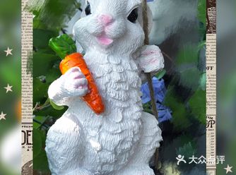 给宅在家里的无聊增添了不少乐趣!