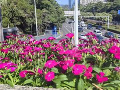 -深圳国际园林花卉博览园