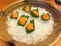 -月龍吟(朝龙汇店)