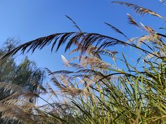 -中国天府农业博览园