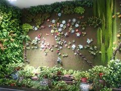 -宴秋杭州菜(锦艺城店)