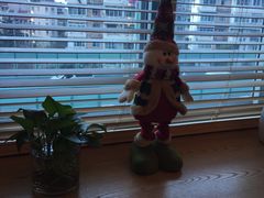 -真我樣照相馆·身份证·证件照·外拍(环球港店)