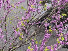 -方快-照相馆(君欣时代广场店)