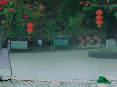 -广州白江湖森林公园