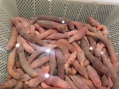 -东海怡品海鲜豆捞(星街坊店)
