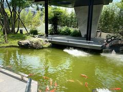 -雅苑中餐厅