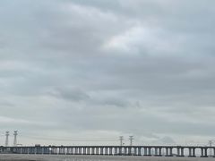 -宝安西湾红树林湿地公园