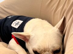 -怪兽屋·羊驼·猫咖·狗咖(俊华广场店)