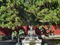 -护国法轮寺