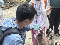 -鄂尔多斯野生动物园