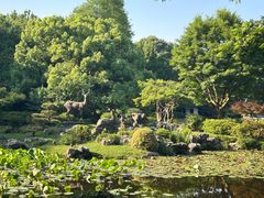 -杭州植物园
