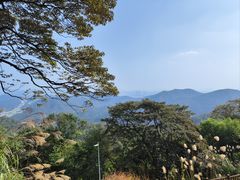 -黄埔油麻山森林公园
