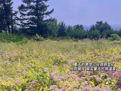 -长春市南湖公园