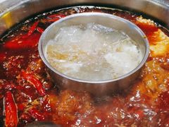 -一斗火锅·招财羊毛肚(北温泉九号店)