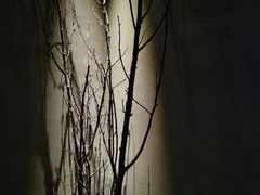 -都氏家DUSJOY(翡翠城店)