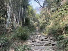 -东明山森林公园