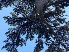 -阳台山自然风景区