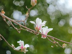 -西湖文化广场