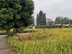 -中国天府农业博览园