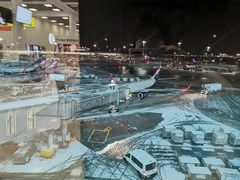 -谢列梅捷沃国际机场