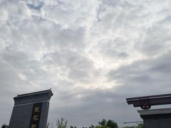-莲花池公园