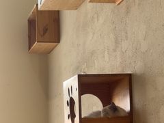 -藏猫猫咖啡主题馆(中央大道店)