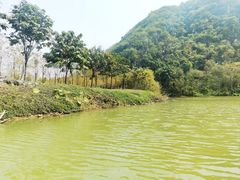 -星湖旅游景区七星岩