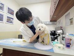 -美联众合动物医院·24h转诊中心
