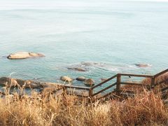 景点-燕儿岛山公园