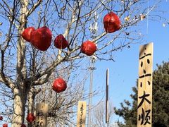 -北京梧桐树双语幼儿园