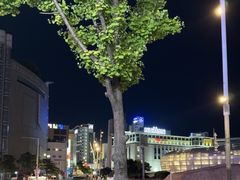 -东大门市场