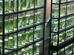 -广东中医药博物馆