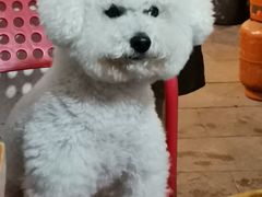 -化龙桥九宫格火锅(清水河店)