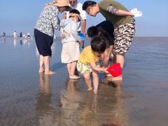 -南汇嘴观海公园