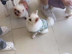 -怪兽屋·羊驼·猫咖·狗咖(俊华广场店)