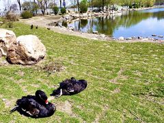 -长春市南湖公园