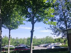 -九十九顶毡房(阜石路店)