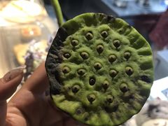 -绿叶子(春秀路店)