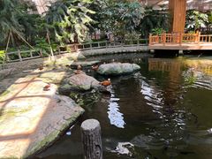 -南宫五洲植物乐园