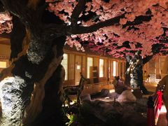 -蓝鲸湾汤泉(包河店)