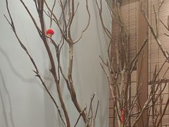 -杏花村水席楼·洛阳水席(老城十字街店)