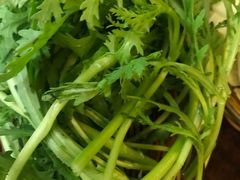 -前门张记涮肉(前门店)