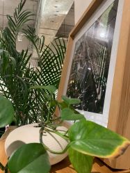 -M+hair salon专业造型沙龙
