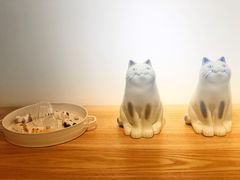-猫里有甜