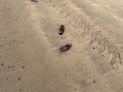 -西秀海滩公园