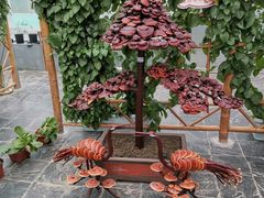 -兰陵国家农业公园