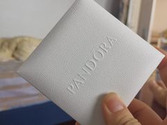 -Pandora潘多拉珠宝(朝阳大悦城店)