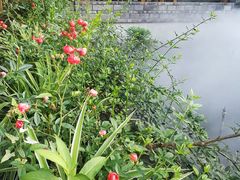 -半山•草庐玖厨(机场路店)