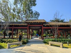 -顺峰山公园