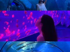 -左海海底世界